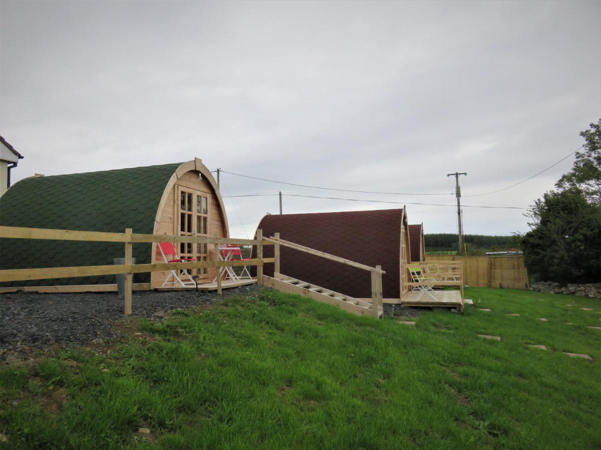Shannon Estuary Glamping Effernan Dış mekan fotoğraf