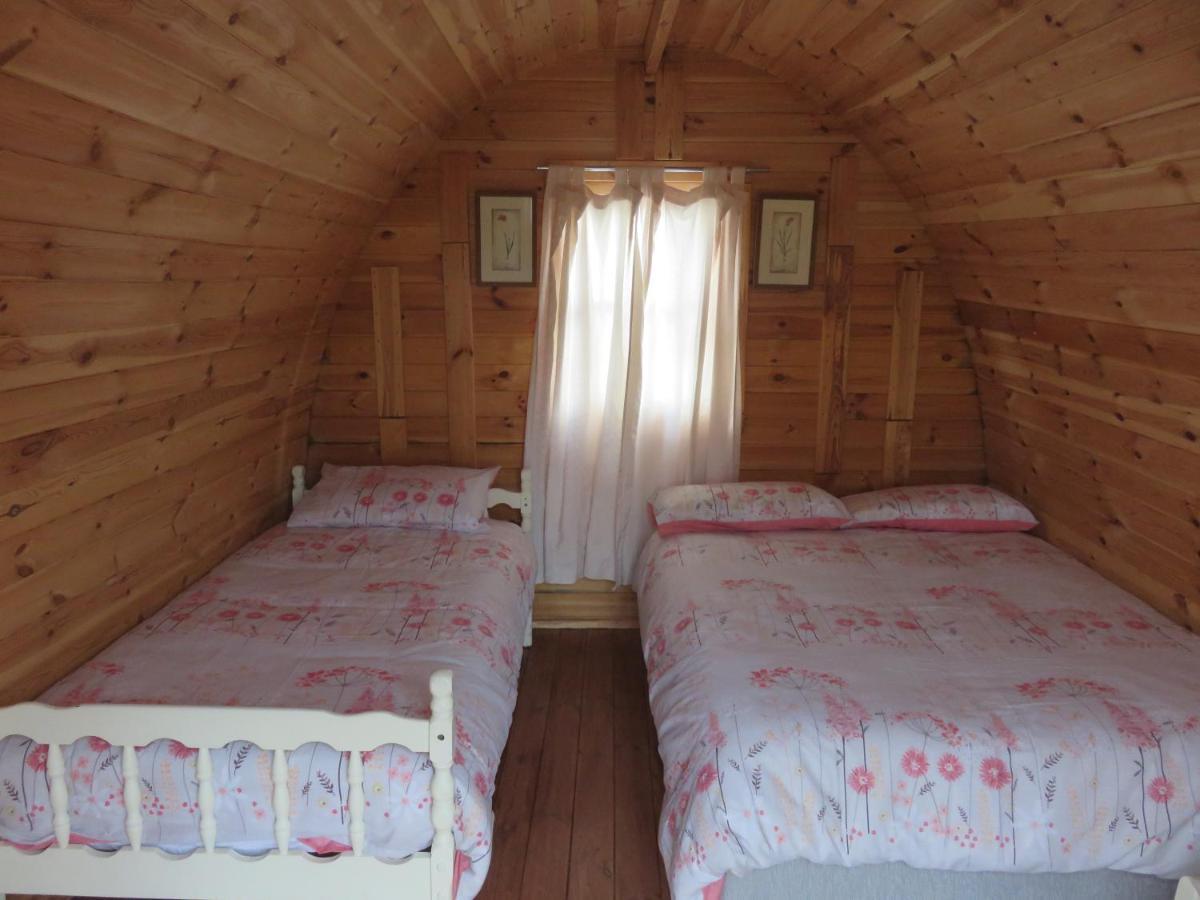 Shannon Estuary Glamping Effernan Dış mekan fotoğraf