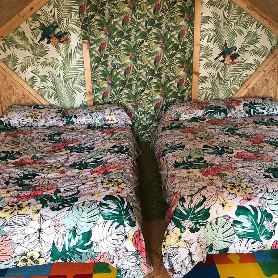 Shannon Estuary Glamping Effernan Dış mekan fotoğraf
