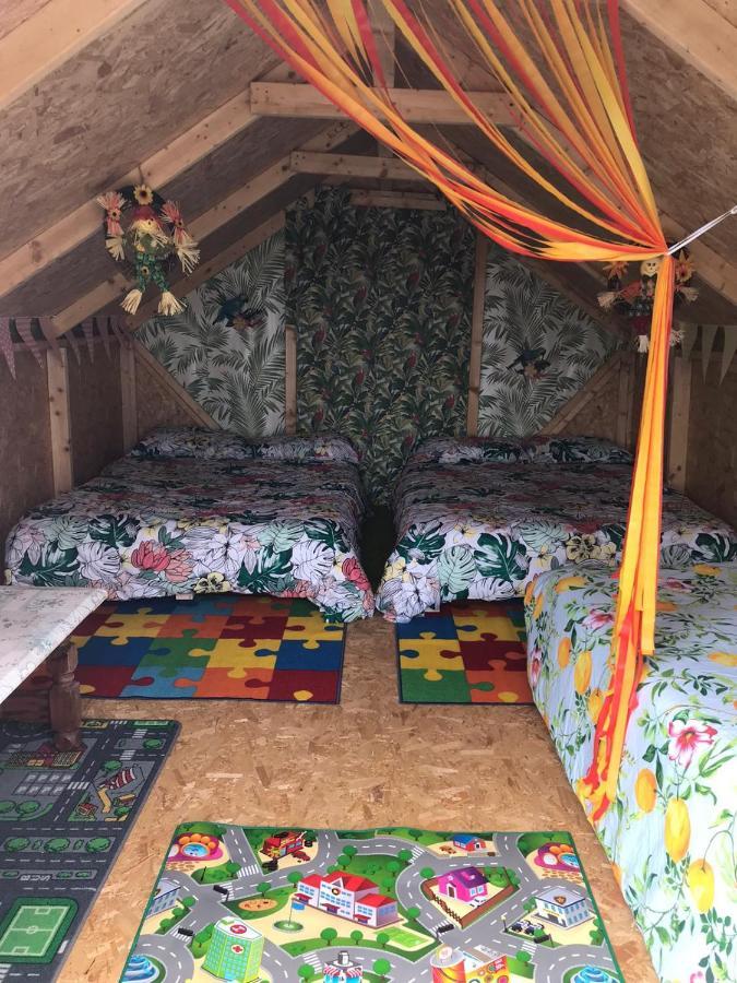 Shannon Estuary Glamping Effernan Dış mekan fotoğraf