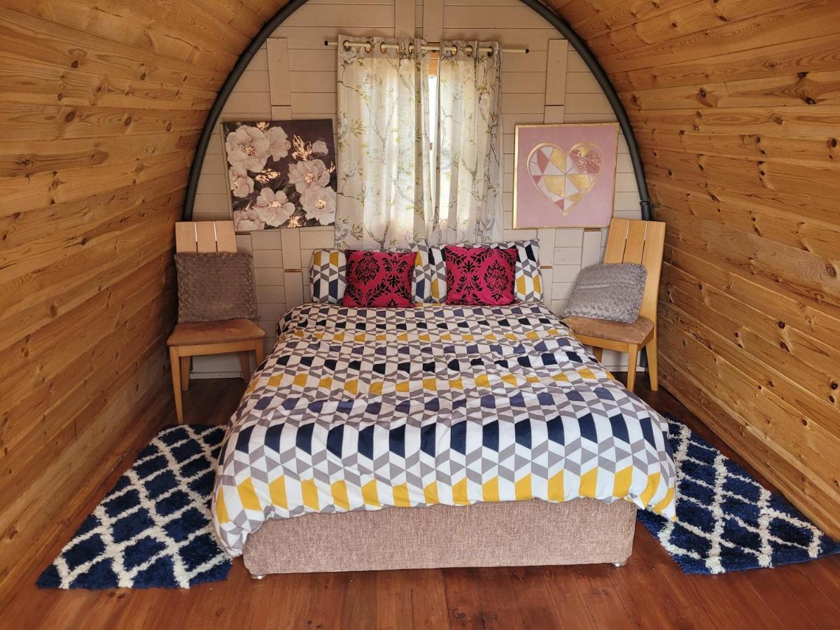 Shannon Estuary Glamping Effernan Dış mekan fotoğraf