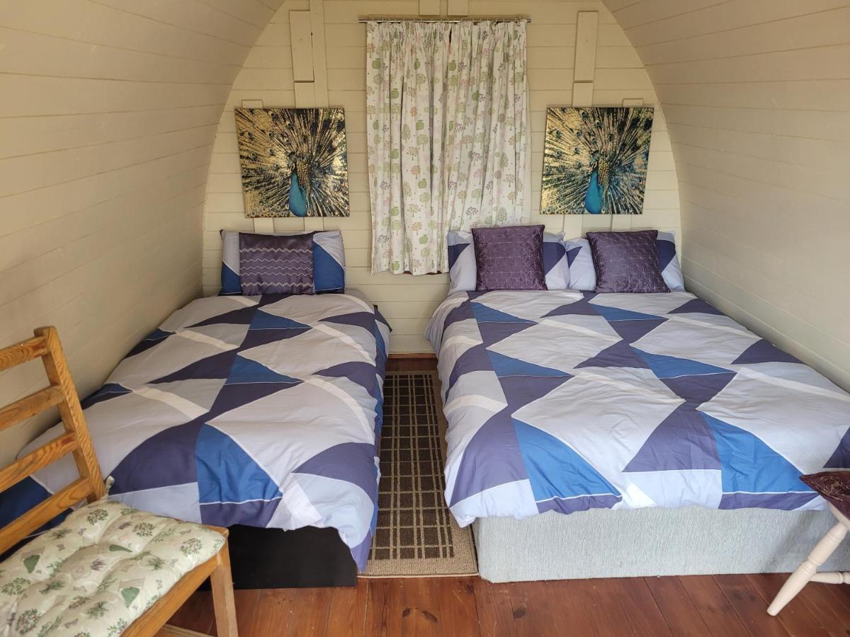 Shannon Estuary Glamping Effernan Dış mekan fotoğraf