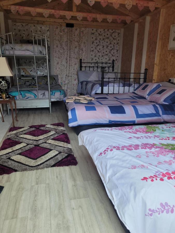 Shannon Estuary Glamping Effernan Dış mekan fotoğraf