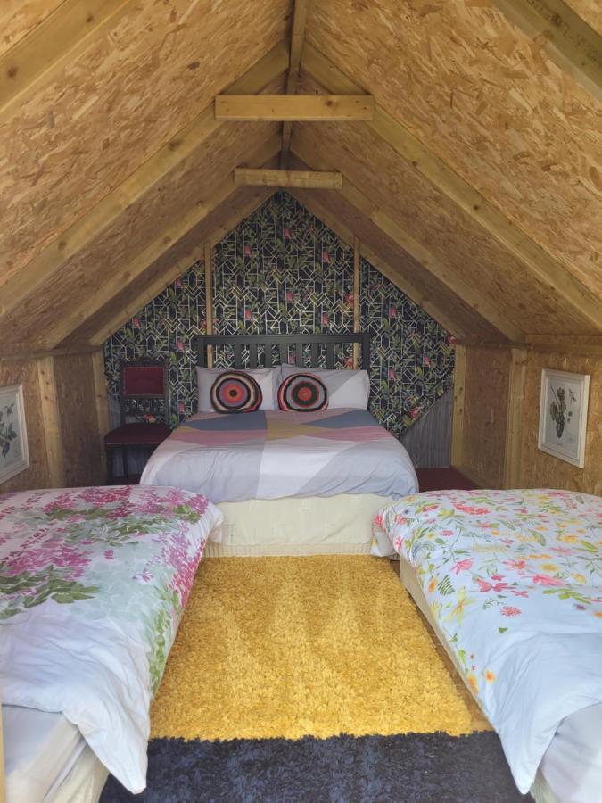 Shannon Estuary Glamping Effernan Dış mekan fotoğraf