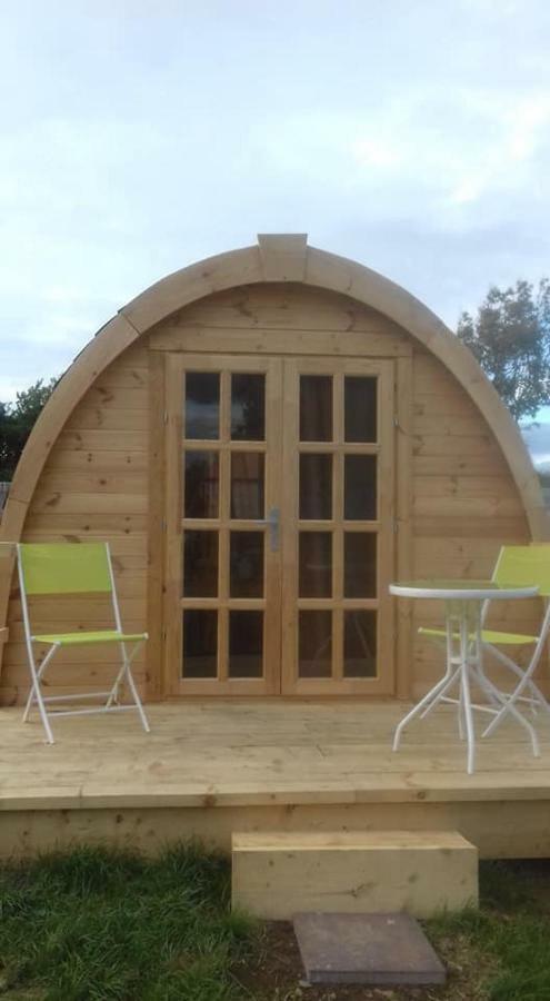Shannon Estuary Glamping Effernan Dış mekan fotoğraf