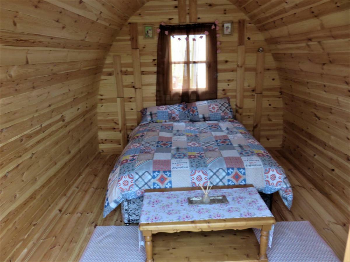 Shannon Estuary Glamping Effernan Dış mekan fotoğraf