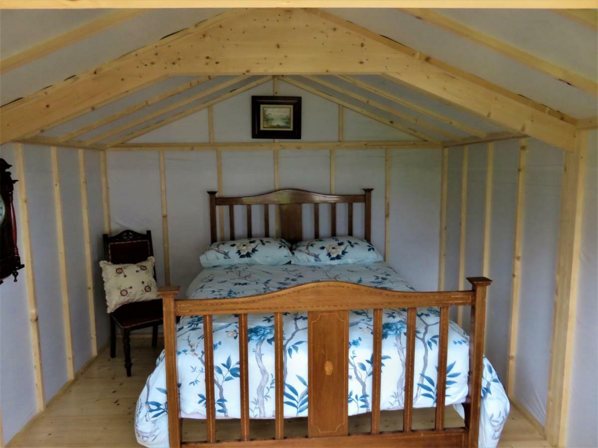 Shannon Estuary Glamping Effernan Dış mekan fotoğraf