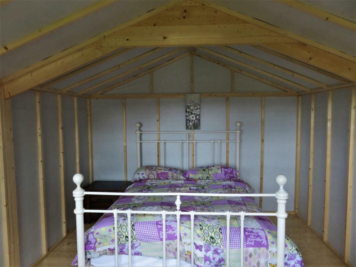 Shannon Estuary Glamping Effernan Dış mekan fotoğraf
