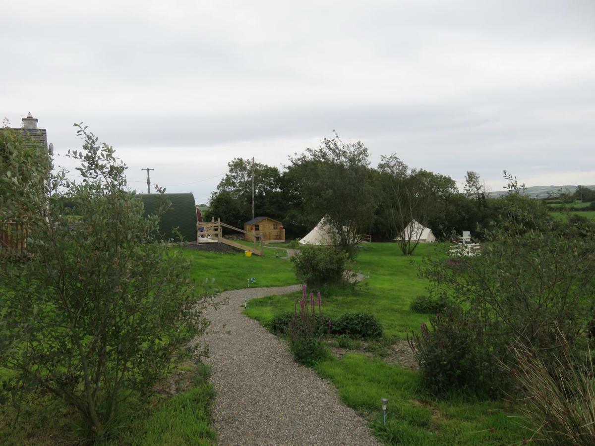 Shannon Estuary Glamping Effernan Dış mekan fotoğraf