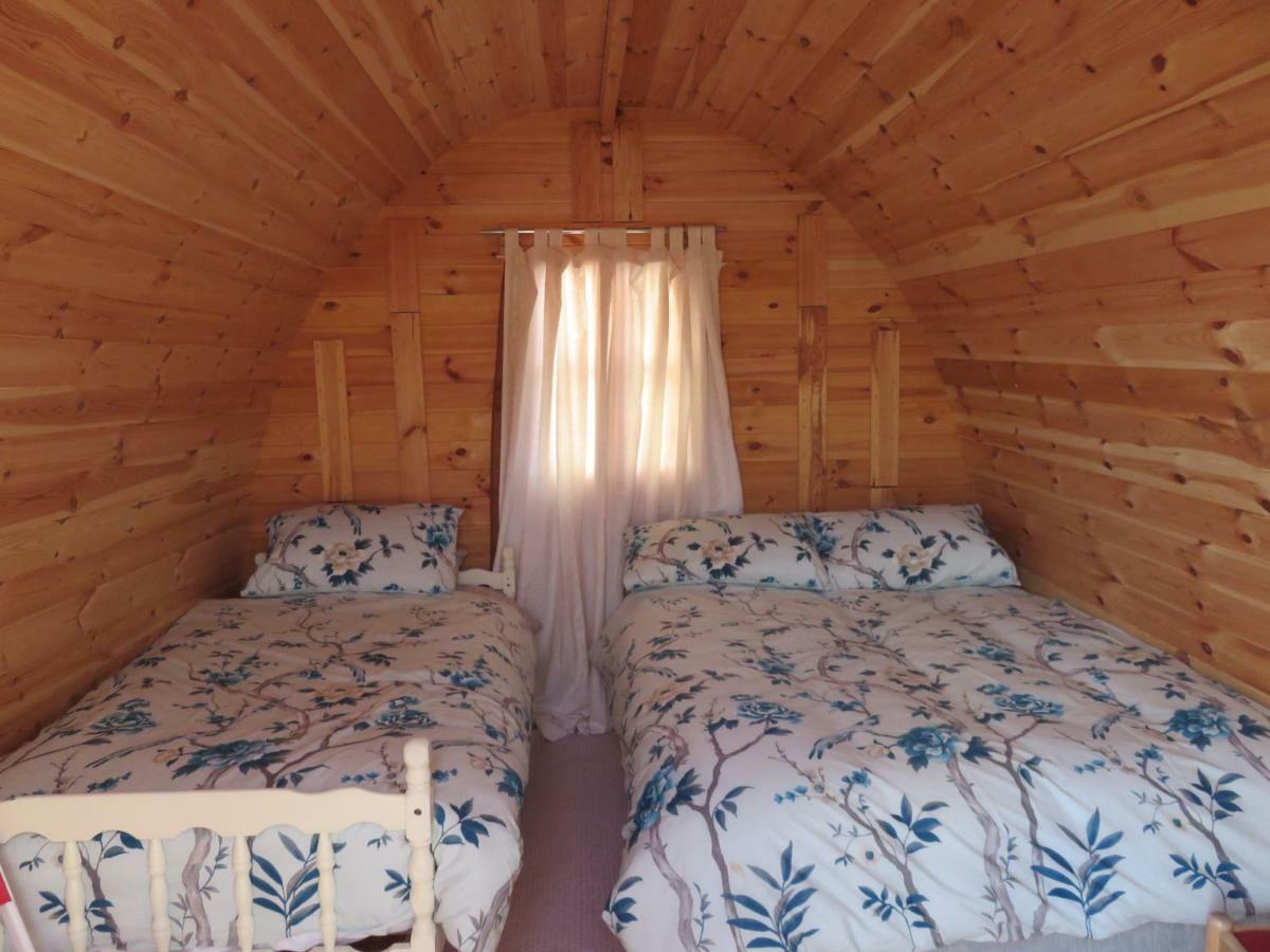 Shannon Estuary Glamping Effernan Dış mekan fotoğraf