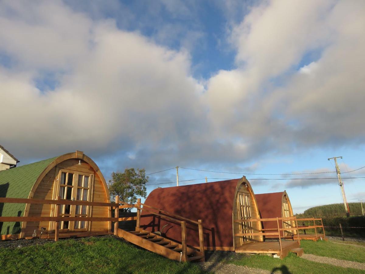 Shannon Estuary Glamping Effernan Dış mekan fotoğraf