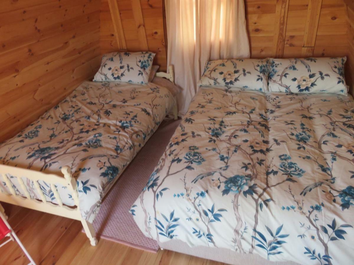 Shannon Estuary Glamping Effernan Dış mekan fotoğraf