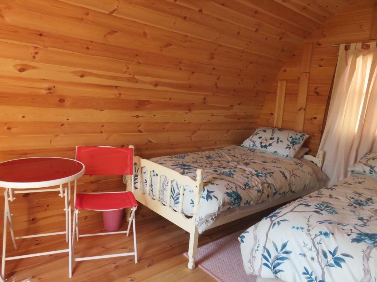 Shannon Estuary Glamping Effernan Dış mekan fotoğraf