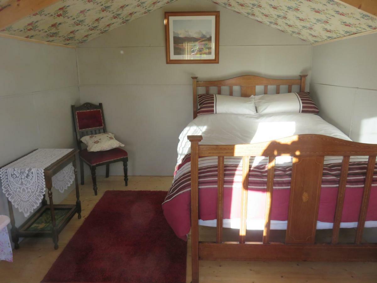Shannon Estuary Glamping Effernan Dış mekan fotoğraf
